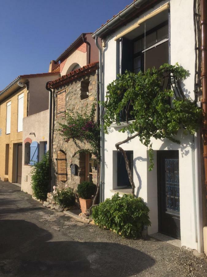Laroque-des-Albères La Maison Blanche Aux Volets Blues מראה חיצוני תמונה